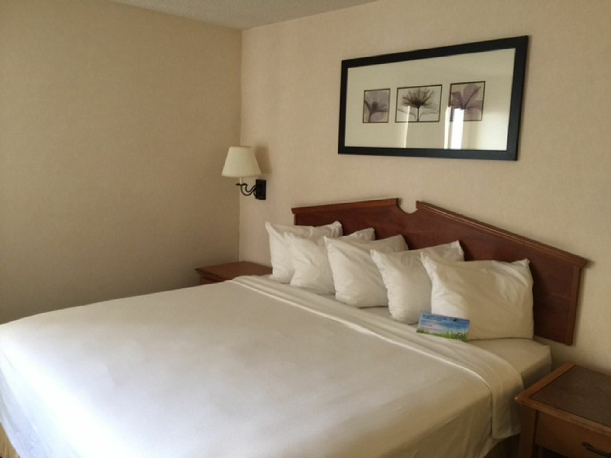 Days Inn & Suites By Wyndham Denver International Airport Екстер'єр фото